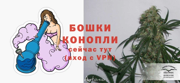 ГАЛЛЮЦИНОГЕННЫЕ ГРИБЫ Снежногорск