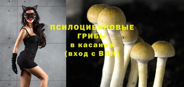 PSILOCYBIN Балахна
