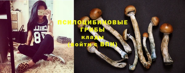 mix Белокуриха